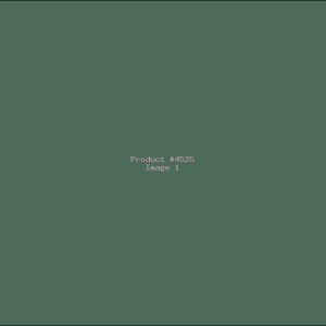 Example Product 4525