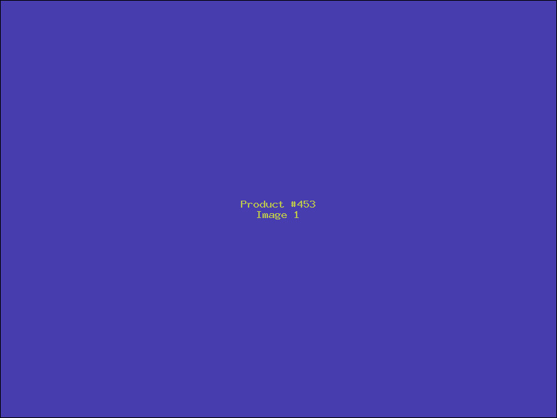 Example Product 453
