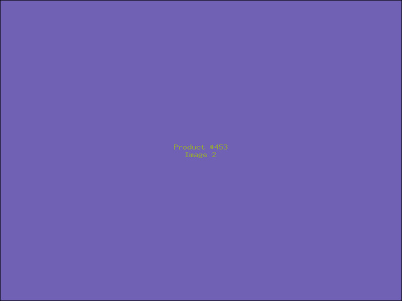 Example Product 453 - Image 2