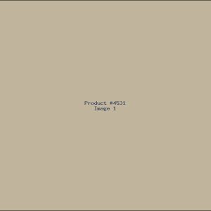 Example Product 4531