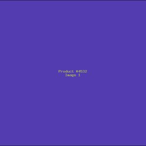Example Product 4532