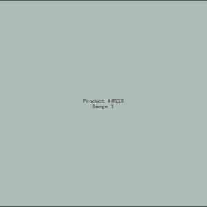 Example Product 4533