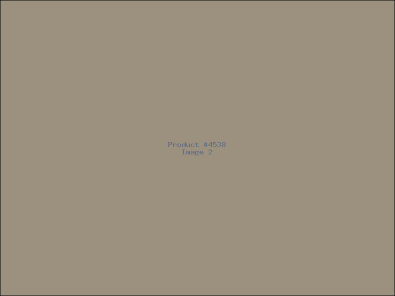 Example Product 4538 - Image 2