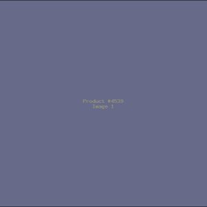 Example Product 4539