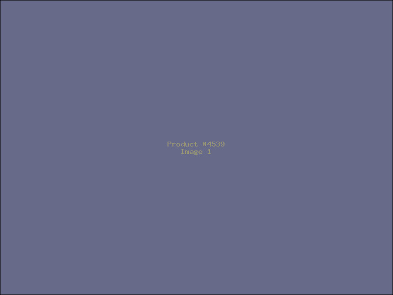 Example Product 4539