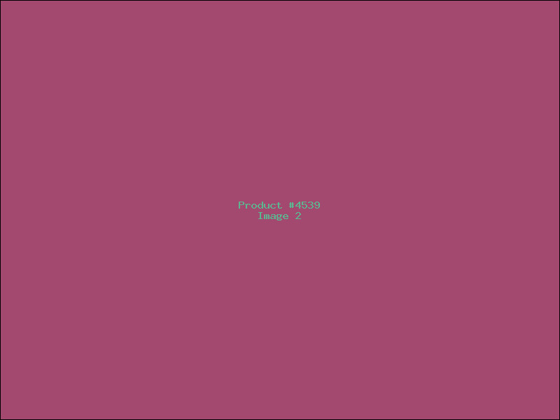 Example Product 4539 - Image 2