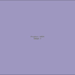 Example Product 454