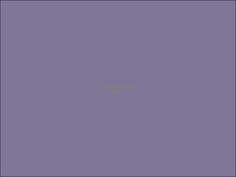 Example Product 454 - Image 2