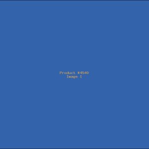 Example Product 4540
