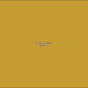 Example Product 4541