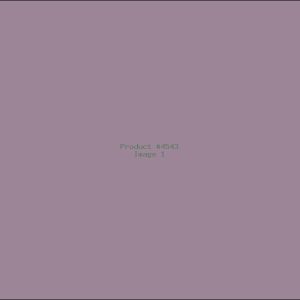 Example Product 4543