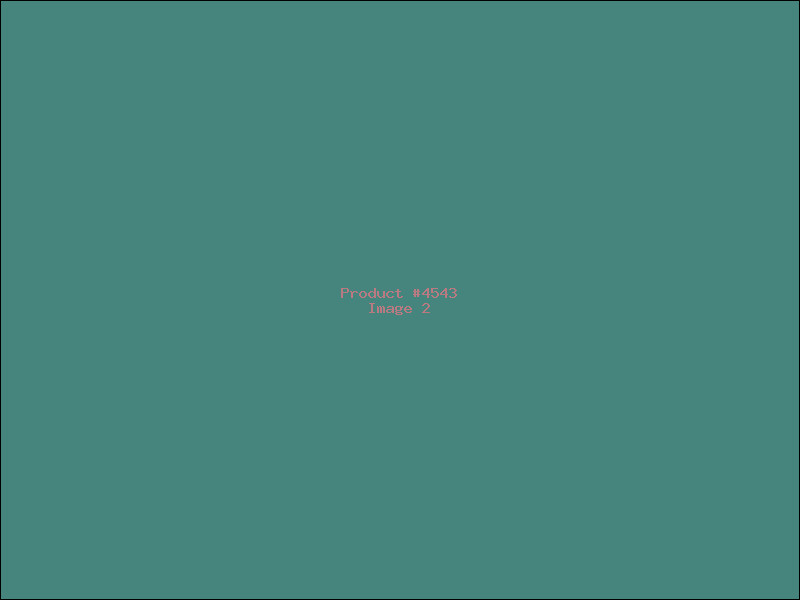 Example Product 4543 - Image 2