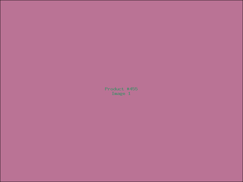 Example Product 455