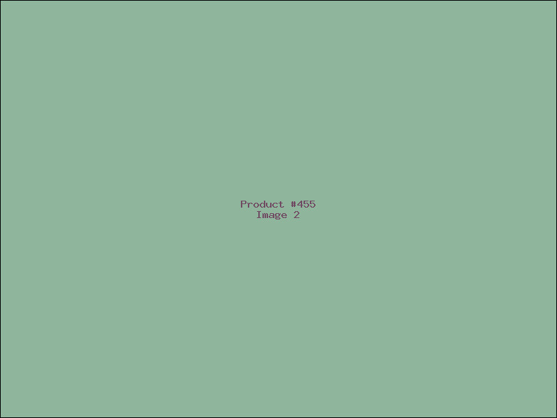 Example Product 455 - Image 2