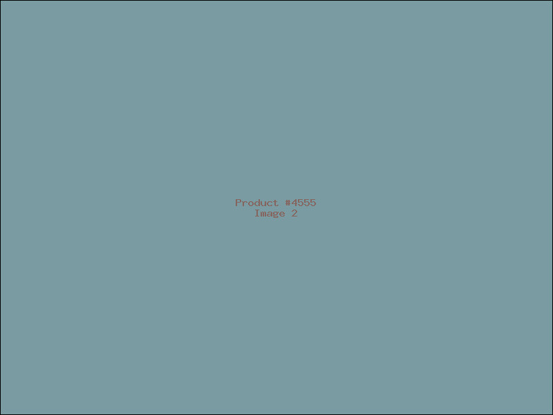 Example Product 4555 - Image 2