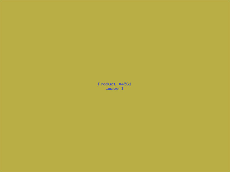 Example Product 4561