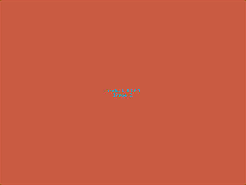 Example Product 4561 - Image 2