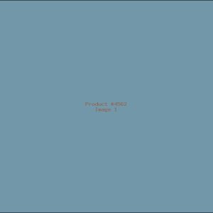 Example Product 4562