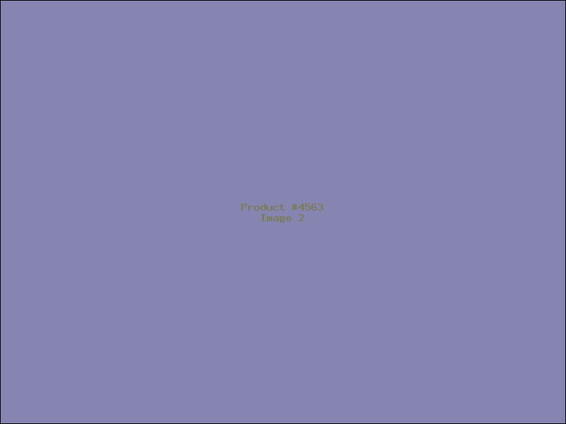 Example Product 4563 - Image 2