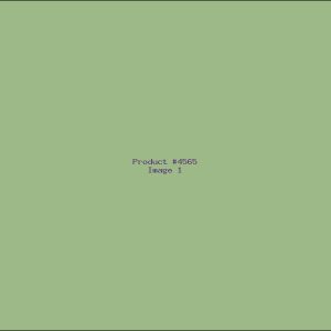 Example Product 4565