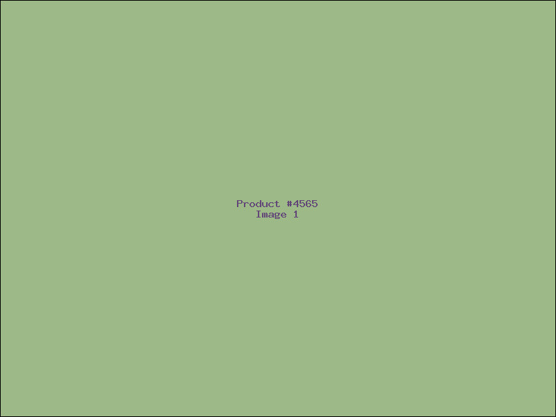 Example Product 4565