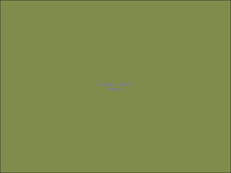 Example Product 4565 - Image 2