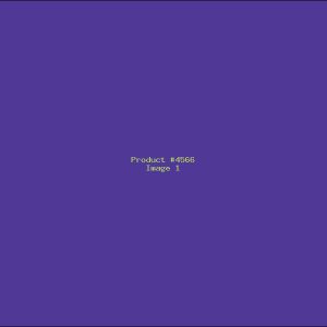 Example Product 4566