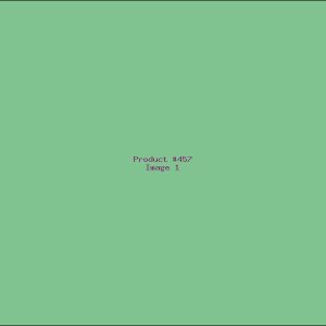 Example Product 457