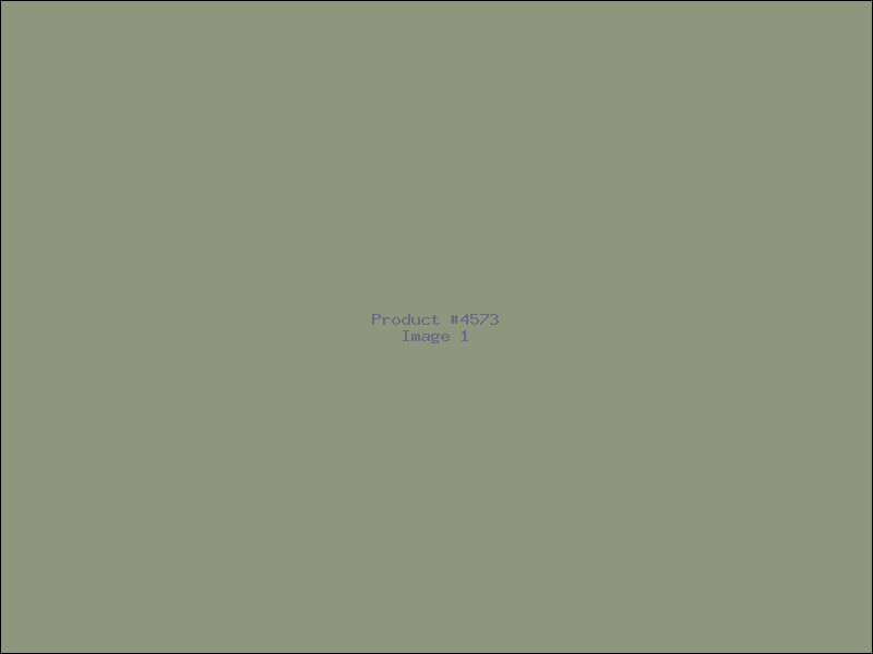 Example Product 4573
