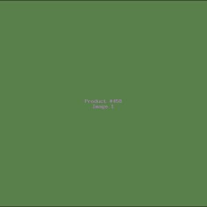 Example Product 458