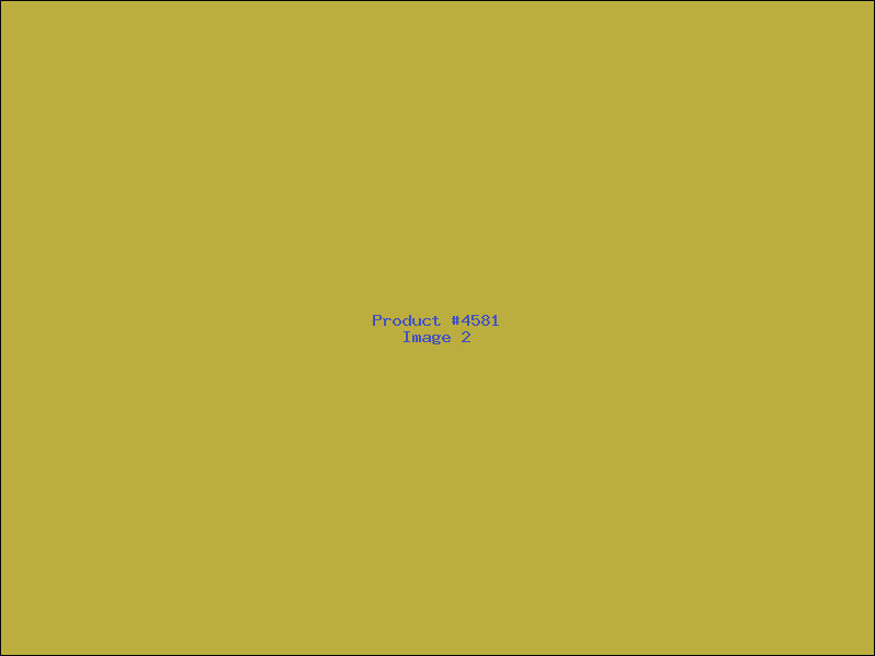Example Product 4581 - Image 2