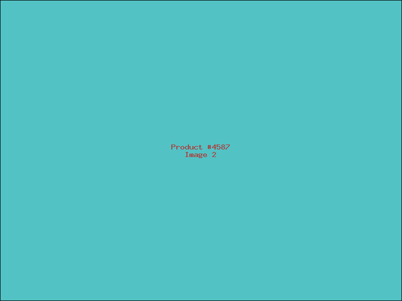 Example Product 4587 - Image 2
