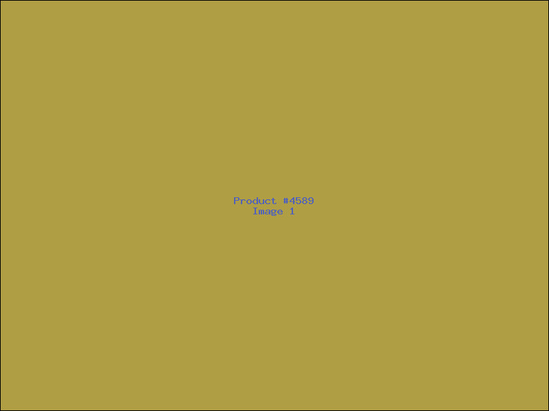 Example Product 4589