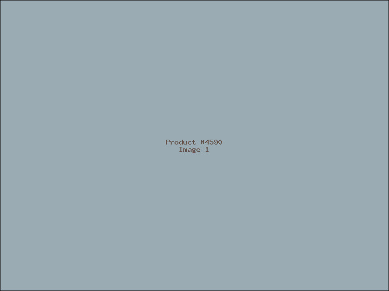 Example Product 4590