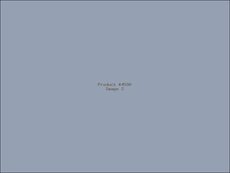 Example Product 4590 - Image 2
