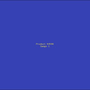 Example Product 4598