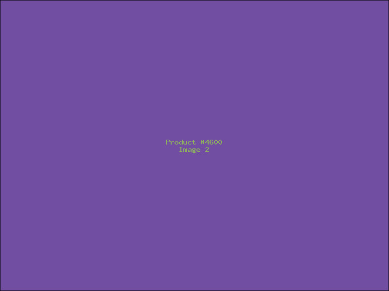 Example Product 4600 - Image 2