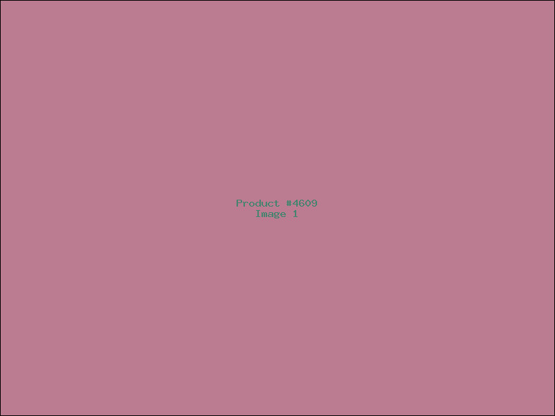 Example Product 4609