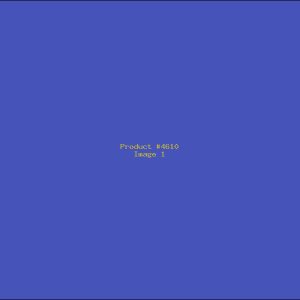 Example Product 4610