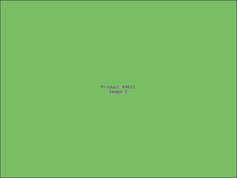 Example Product 4611