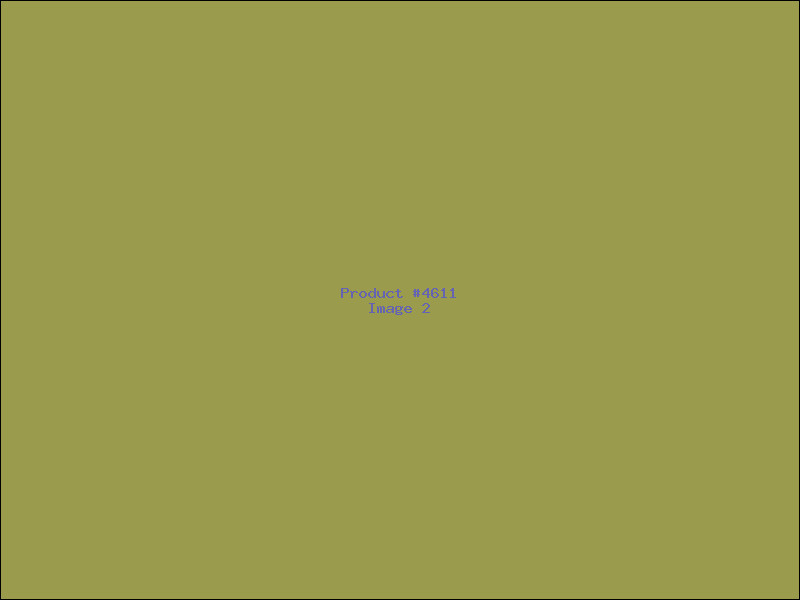 Example Product 4611 - Image 2