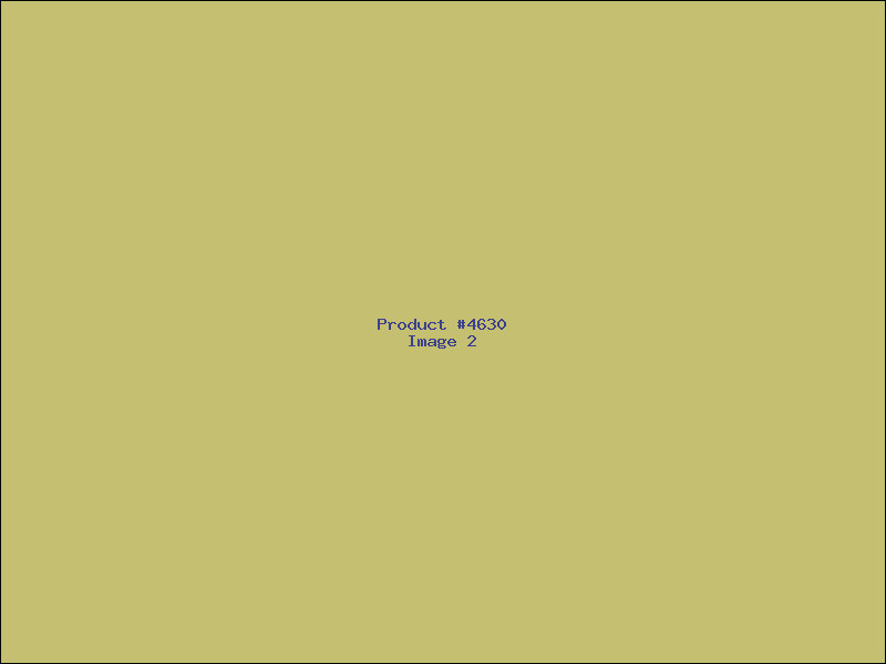 Example Product 4630 - Image 2