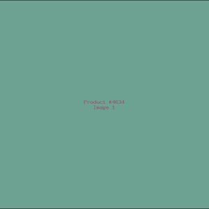 Example Product 4634