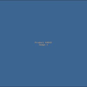 Example Product 4642