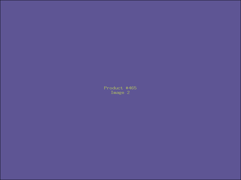 Example Product 465 - Image 2