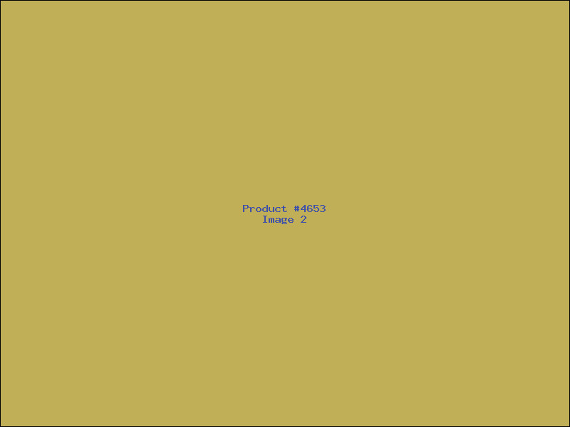 Example Product 4653 - Image 2