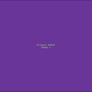 Example Product 4654