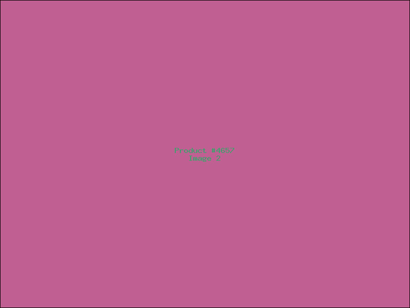 Example Product 4657 - Image 2