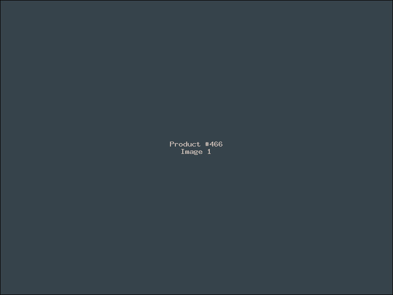 Example Product 466