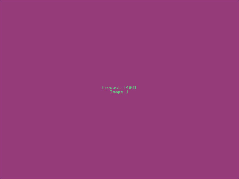 Example Product 4661